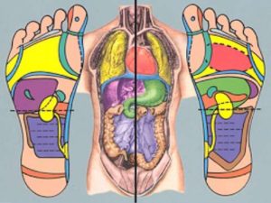 reflexologa-podal-7-638